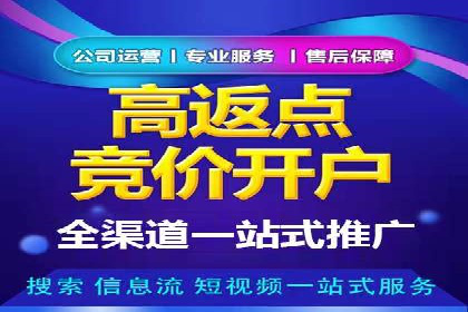 SEM托管服务，成功案例展示转化优势